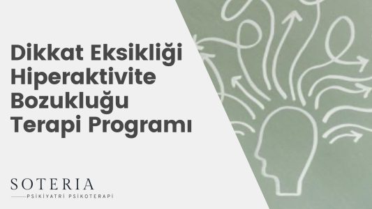 Dikkat Eksikliği Hiperaktivite Bozukluğu Terapi Programı